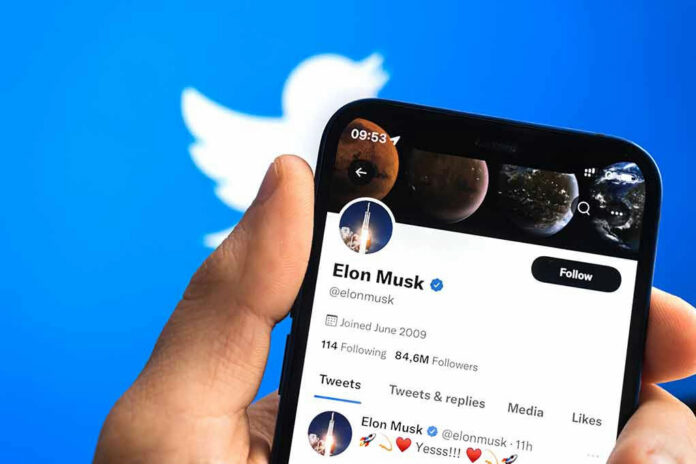 Hand holding phone displaying Twitter profile.
