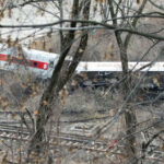 Freight Train vs. Septic Truck: VIRAL CHAOS! Train derailed in forested area, view through trees.